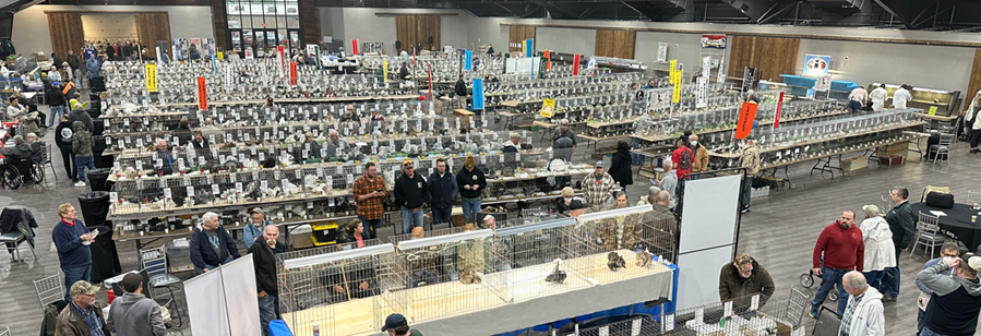 Reading Pigeon Association Winter Show Hall